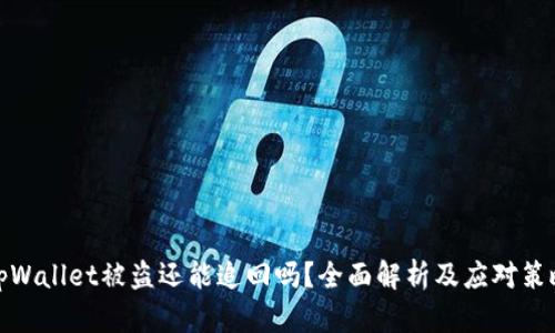 tpWallet被盗还能追回吗？全面解析及应对策略