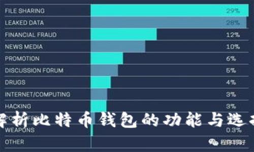 全面解析比特币钱包的功能与选择指南