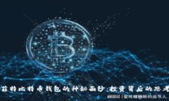 揭开巴菲特比特币钱包的神秘面纱：投资背后的