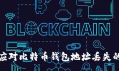 :如何应对比特币钱包地址