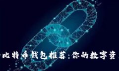 最受欢迎的比特币钱包推